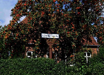 Dansk trädgård