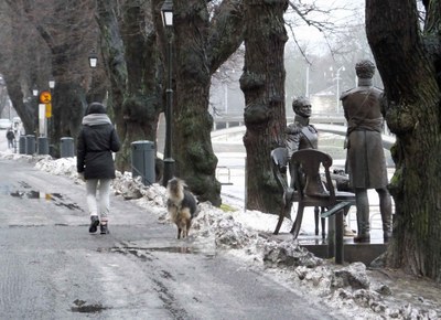 Karl Johan i Åbo