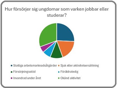 Hur försörjer sig NEET-ungdomar?