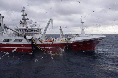 Loddekast i Barentshavet, Foto: Olav Endre Drønen/Norges Sildesalgslag