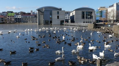 Rådhuset i Reykjavik