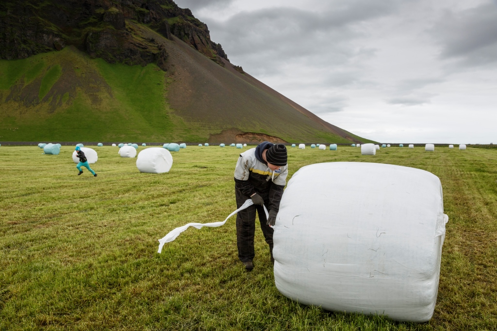 Nordregio: Unga islänningar vill inte jobba inom traditionella yrken