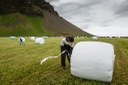 Nordregio: Unga islänningar vill inte jobba inom traditionella yrken