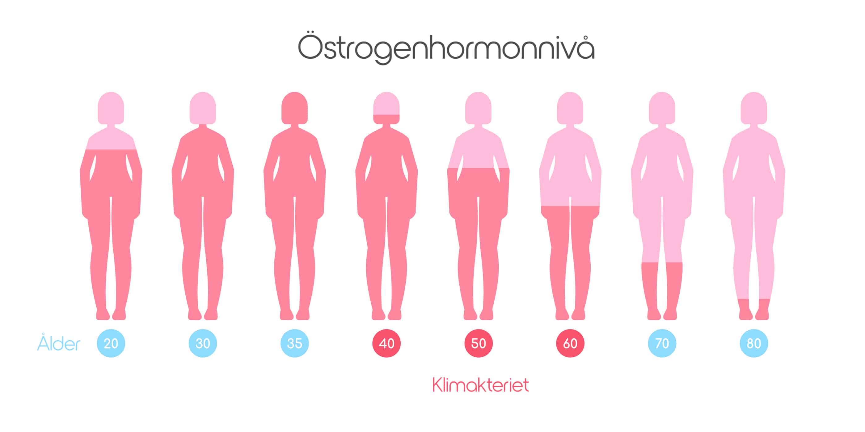 Klimakteriesatsning sparar miljoner i minskad sjukfrånvaro åt svensk kommun